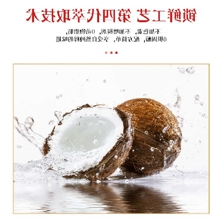 银树鲜榨系列浓郁口感椰子汁加浓口味椰汁椰奶5罐试喝装厂家合作